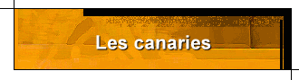 Les canaries